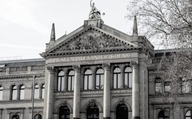Im Museum Koenig fand die Eröffnungsfeier des Parlamentarischen Rates statt. Foto: Bildagentur Zoonar GmbH | shutterstock.com