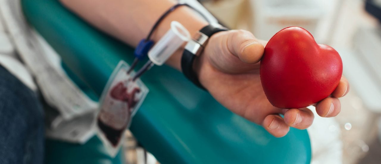 Obwohl Blut dringend gebraucht wird, ist die Zahl der Blutspenden in Deutschland rückläufig. Foto: Lumen Photos | Shutterstock