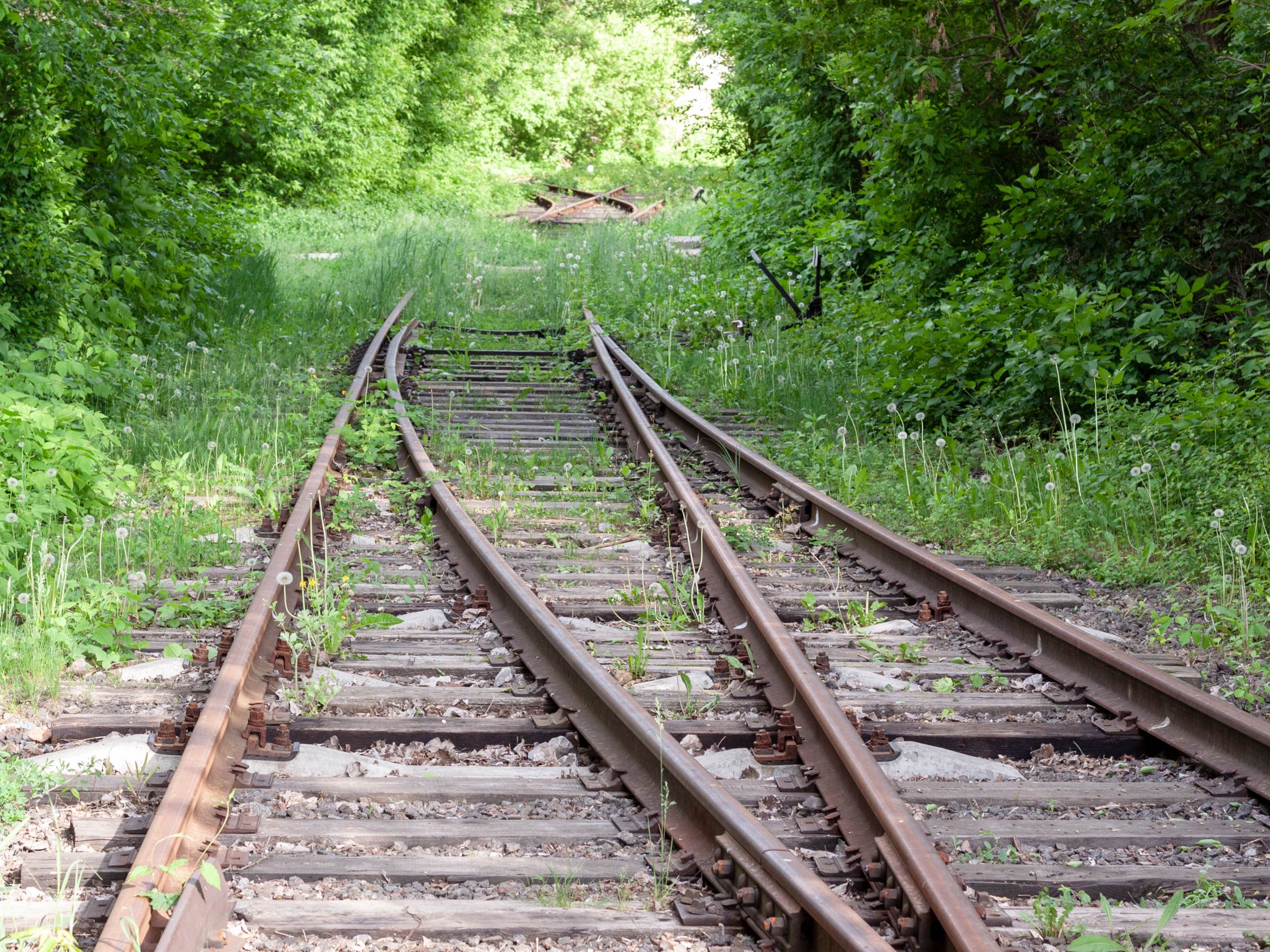 Stillgelegte Bahnstrecken in Deutschland – Kommt das Revival der