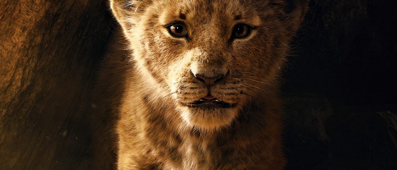 Ist das noch real oder schon ultra-real? Simba im neuen „König der Löwen“. Foto: „Der König der Löwen“ | ©Walt Disney Pictures