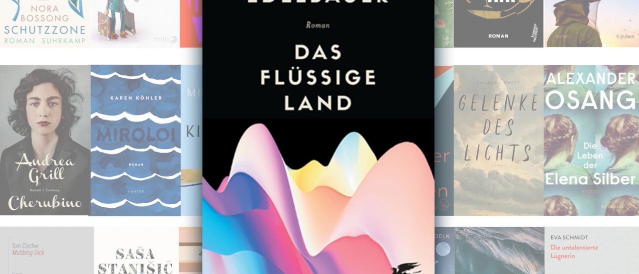 Das Buch „Das flüssige Land“ ist für den Deutschen Buchpreis 2019 nominiert. Bild: Klett-Cotta