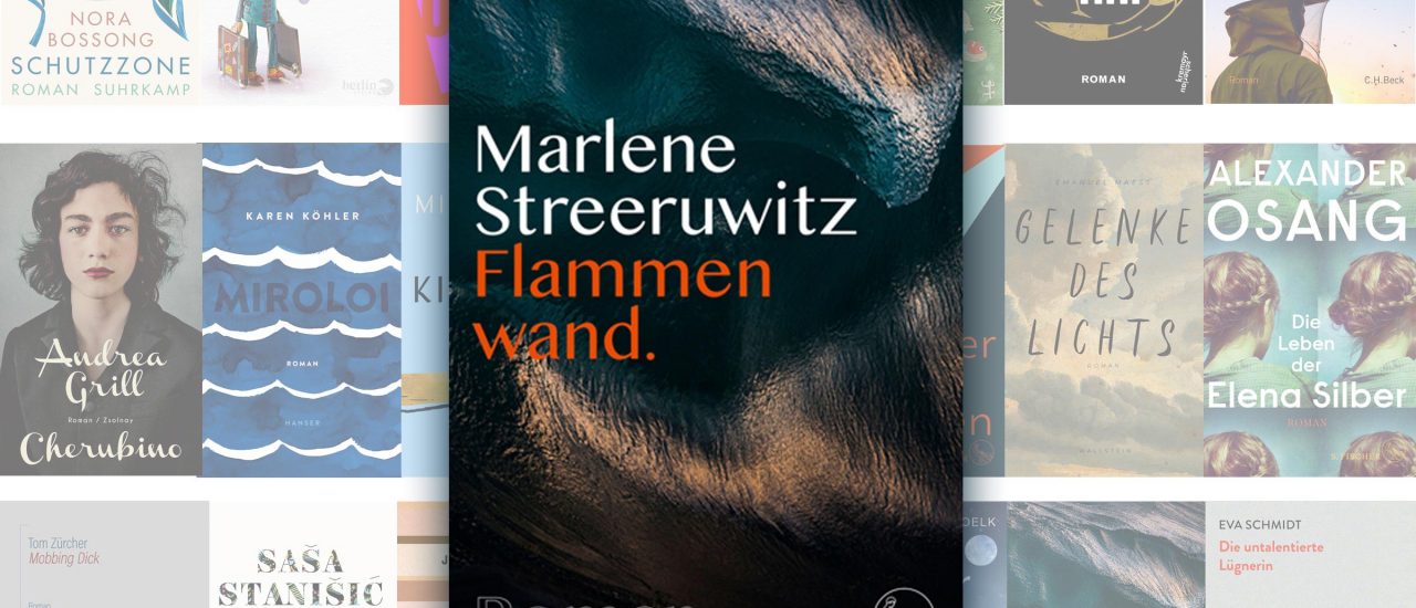 Das Buch „Flammenwand“ ist für den Deutschen Buchpreis 2019 nominiert. Bild: detektor.fm | S. Fischer