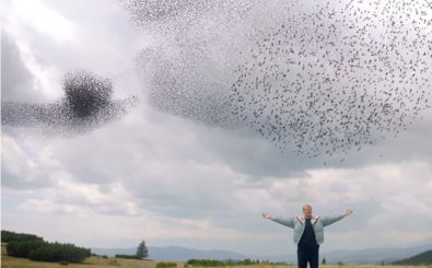 Beim Dreh zu Sigrids neuem Musikvideo lief nichts wie geplant. Ein tolles Video ist trotzdem draus geworden. Bild: Screenshot | youtube.com