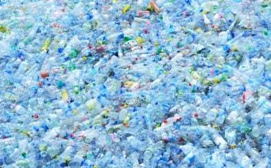 Plastikabfall kann lebensmitteltauglich recycelt werden, zum Beispiel für Getränkeflaschen. Foto: O. Hishiapply | shutterstock