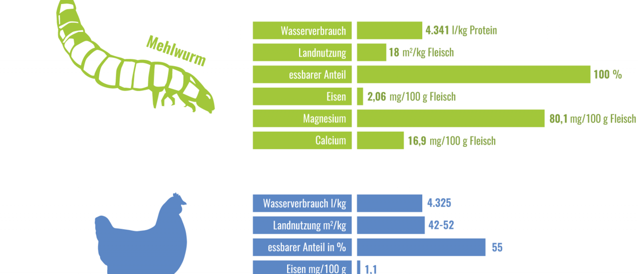 Die Karte der Woche vergleicht die Co2 Bilanz von Mehlwürmern mit anderen Fleischprodukten. Grafik: Katapult-Magazin