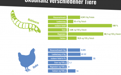 Die Karte der Woche vergleicht die Co2 Bilanz von Mehlwürmern mit anderen Fleischprodukten. Grafik: Katapult-Magazin
