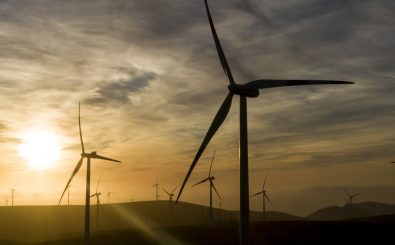 Die Windkraftbranche hat dieses Jahr einen starken Einbruch erlitten. Auch die nächsten Jahre wird es nicht attraktiver, zu bauen. Foto: Martin Bernetti | AFP