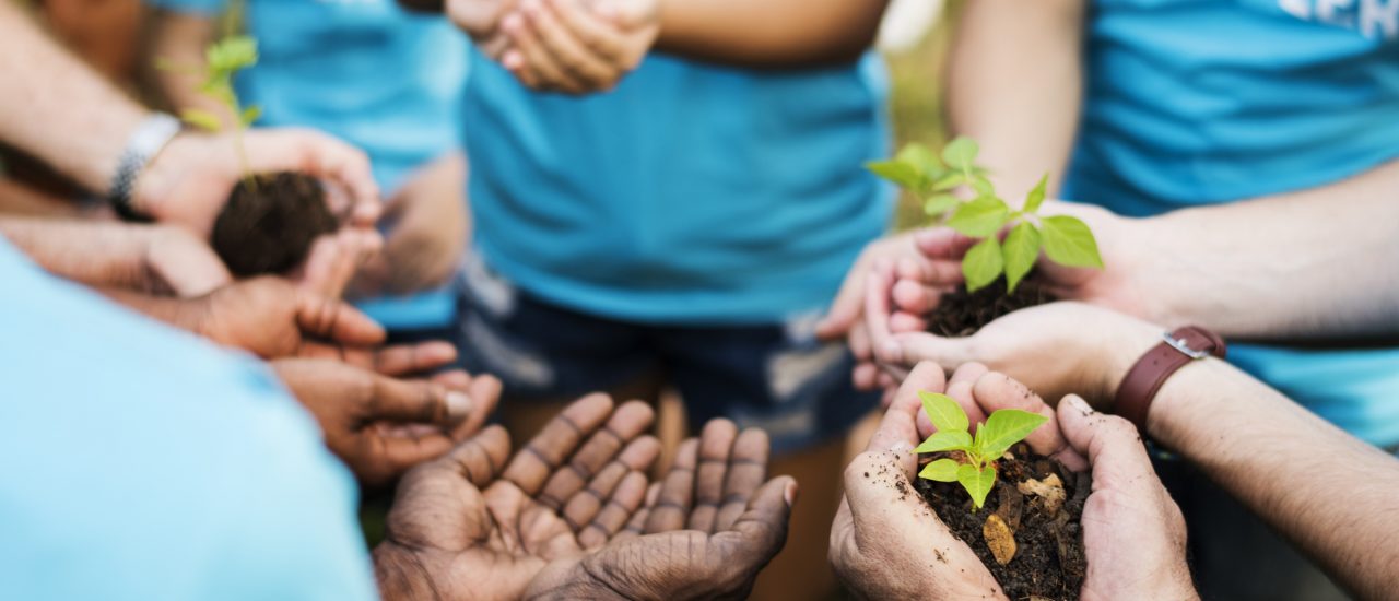 Sich gemeinsam engagieren und die Saat für eine gute Zukunft pflanzen: Die Idee des Ehrenamts begeistert nach wie vor auch junge Menschen. Foto: Rawpixel.com | Shutterstock