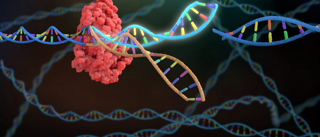 Mit der Crispr-Cas9 Genschere kann DNA gezielt verändert werden. Foto: Nathan Devery | Shutterstock