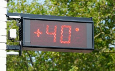 Temperaturen an die 40 Grad Foto: Dafinchi | Shutterstock