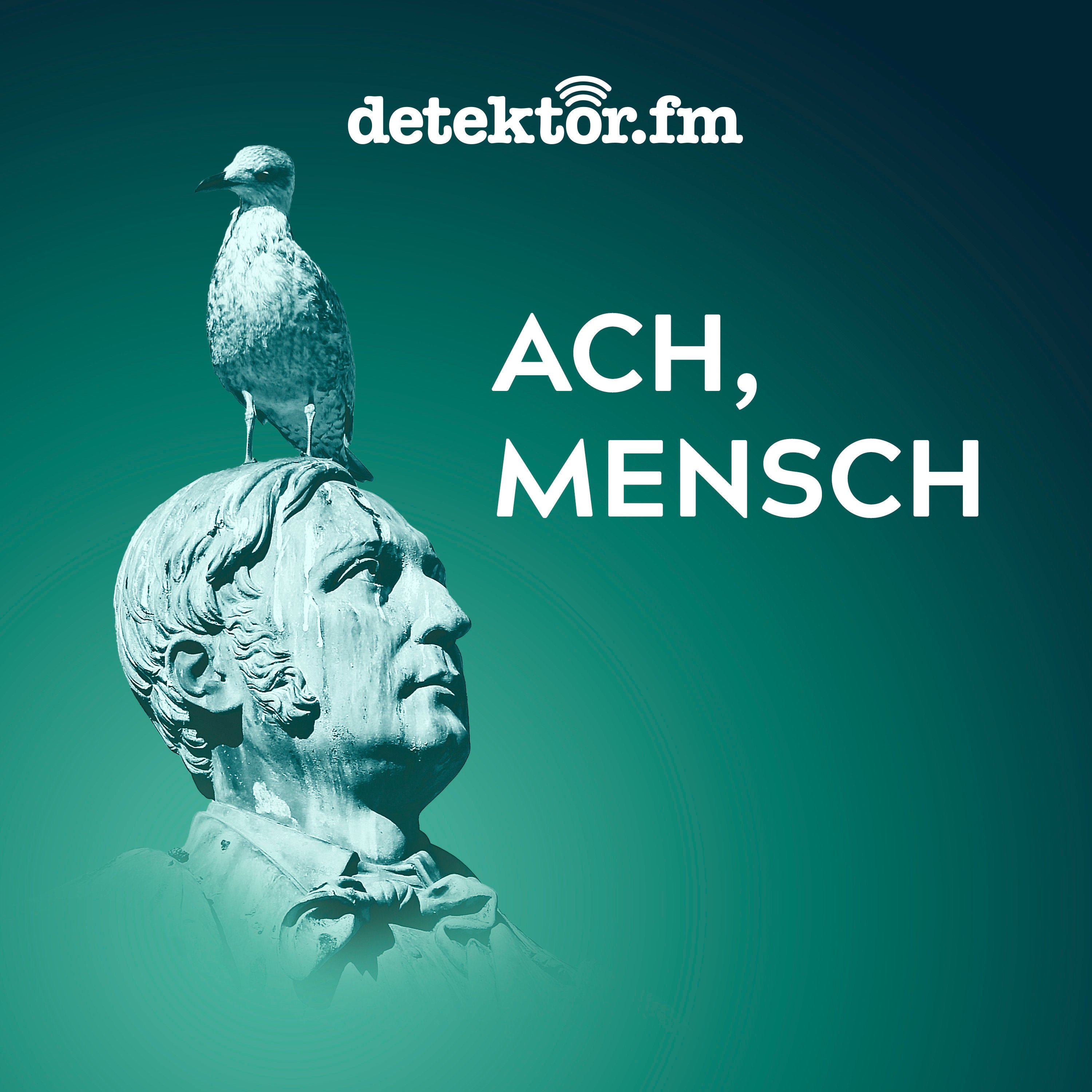 Wie stehen die Deutschen zu Diversität? - podcast episode cover