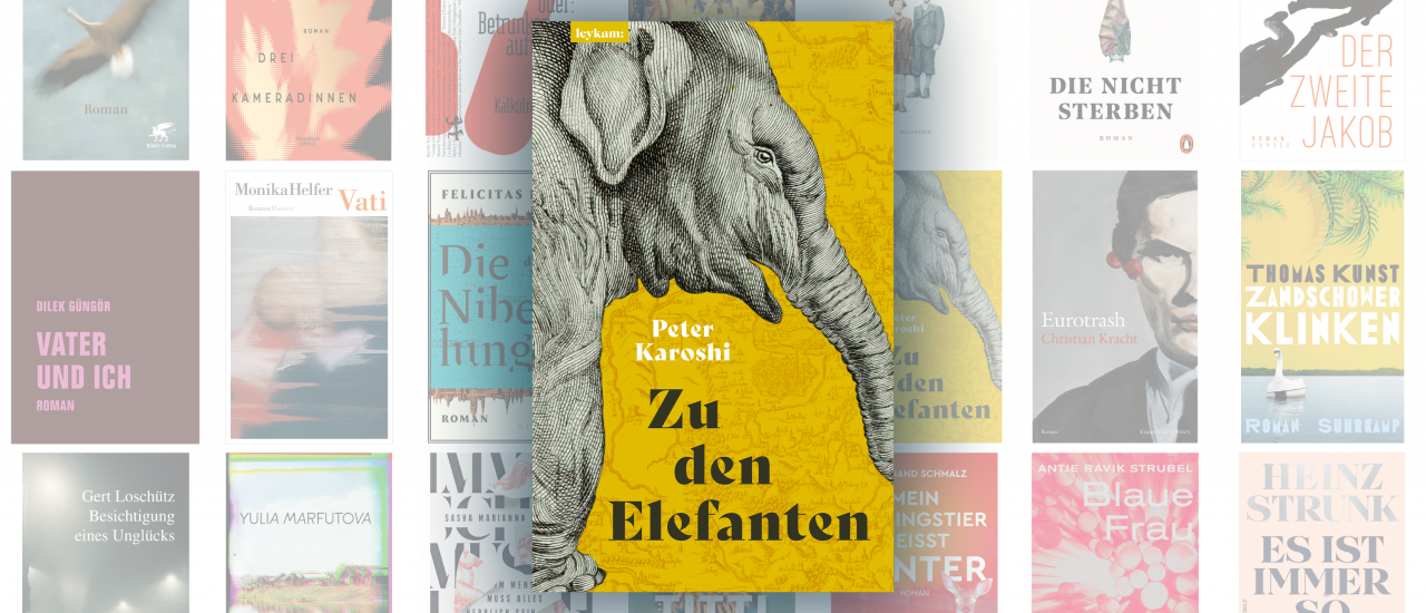 Peter Karoshi ist mit seinem Roman „Zu den Elefanten“ für den Deutschen Buchpreis nominiert.