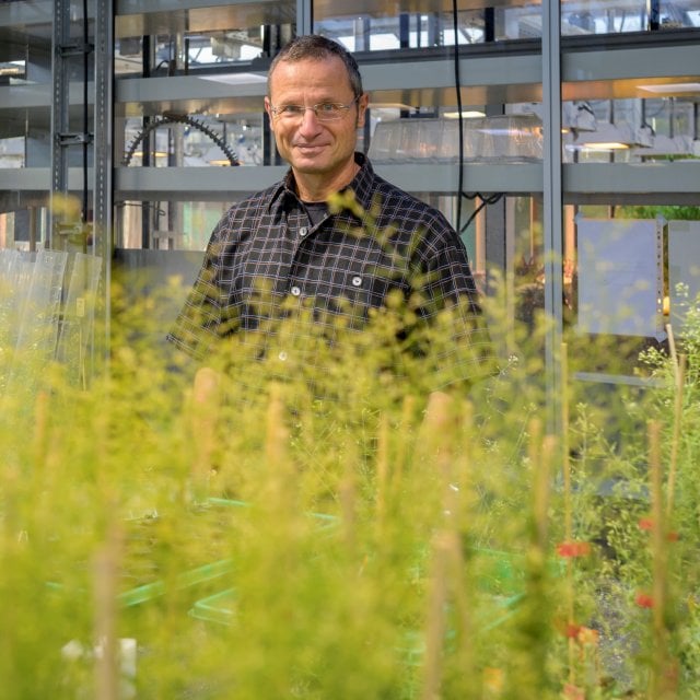 Prof. Dr. Dario Leister, Inhaber des Lehrstuhls für Molekularbiologie der Pflanzen an der Ludwig-Maximilians-Universität München