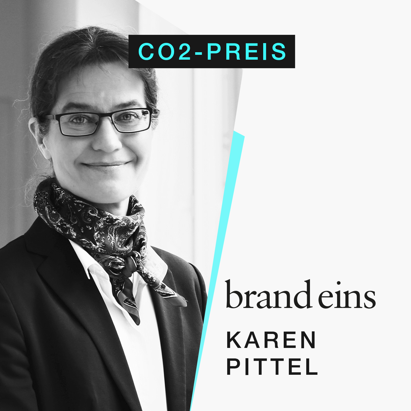 Karen Pittel: Wie effizient ist der CO2-Preis für den Klimaschutz?  - podcast episode cover