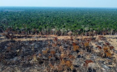 A deforested and burnt area is seen on a stretch of the BR-230 (Transamazonian highway) in Humaitá, Amazonas State, Brazil, on September 16, 2022. – According to the National Institute for Space Research (INPE), hotspots in the Amazon region saw a record increase in the first half of September, being the average for the month 1,400 fires per day. (Photo by Michael Dantas / AFP)