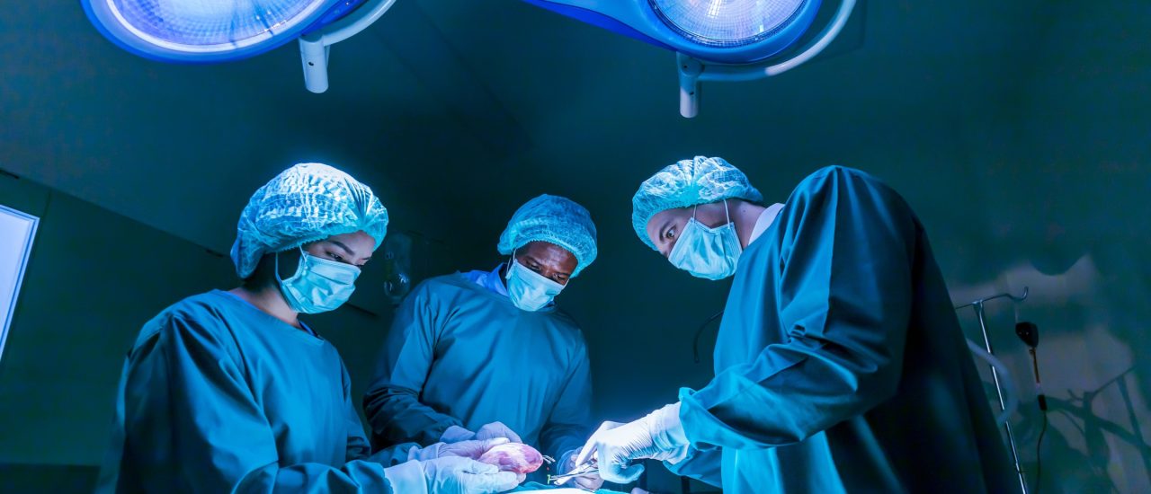 Ärzte entnehmen ein Organ bei einer Operation. 