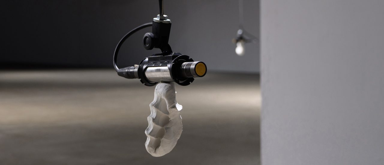 Foto: Gallery Vacancy: Chen Ting-Jung, Dislocated Voice, Sound Installation.  Courtesy of the Artist and Gallery Vacancy, Shanghai. 