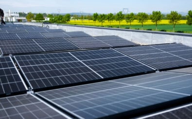 Foto: Frolphy | Shutterstock