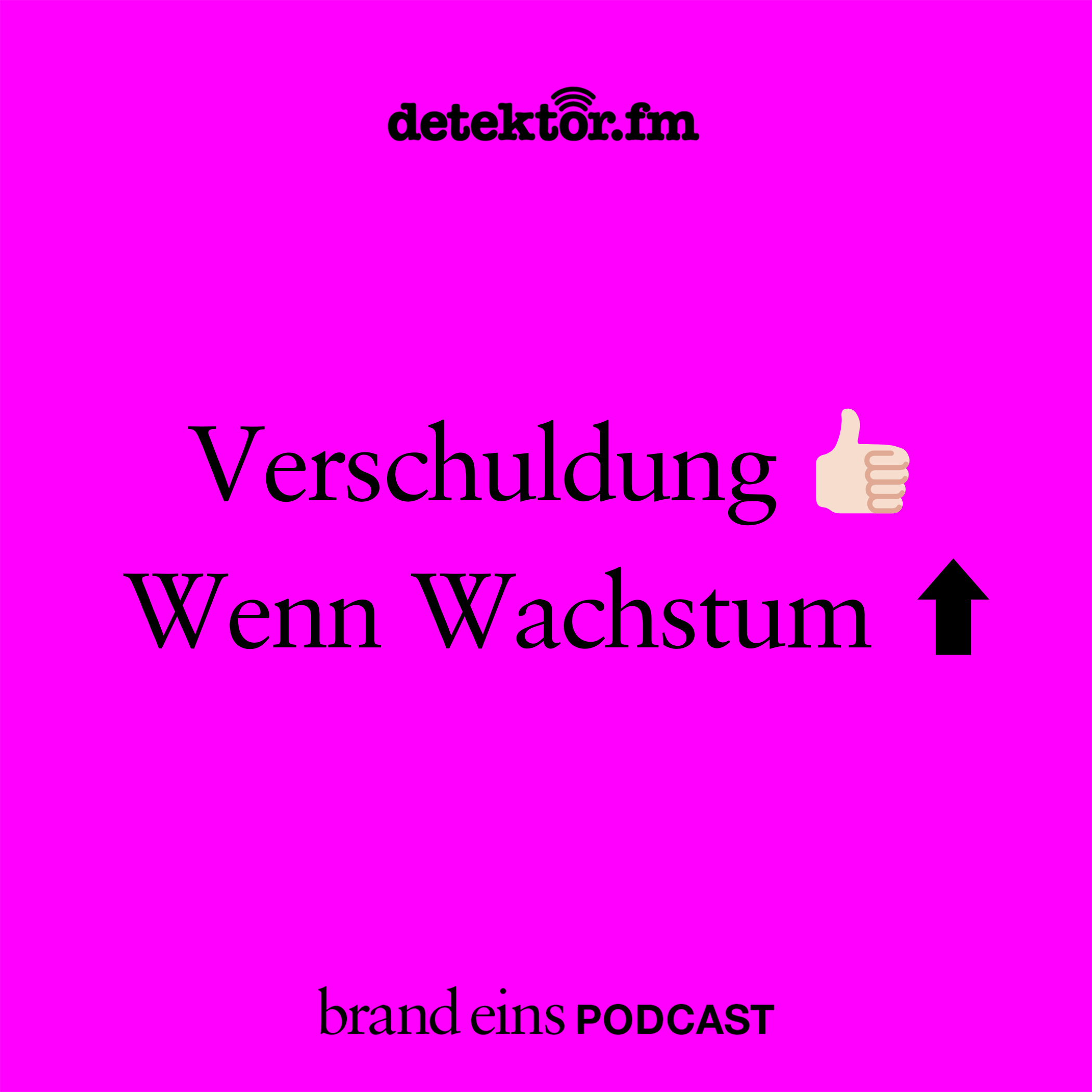 „Wenn Verschuldung Wachstum erzeugt, ist das tragbar.“ - podcast episode cover