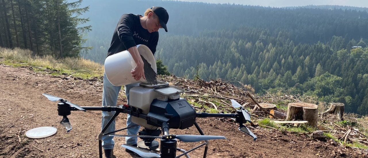 Wiederaufforstung mit Drohne — der Waldbau der Zukunft?