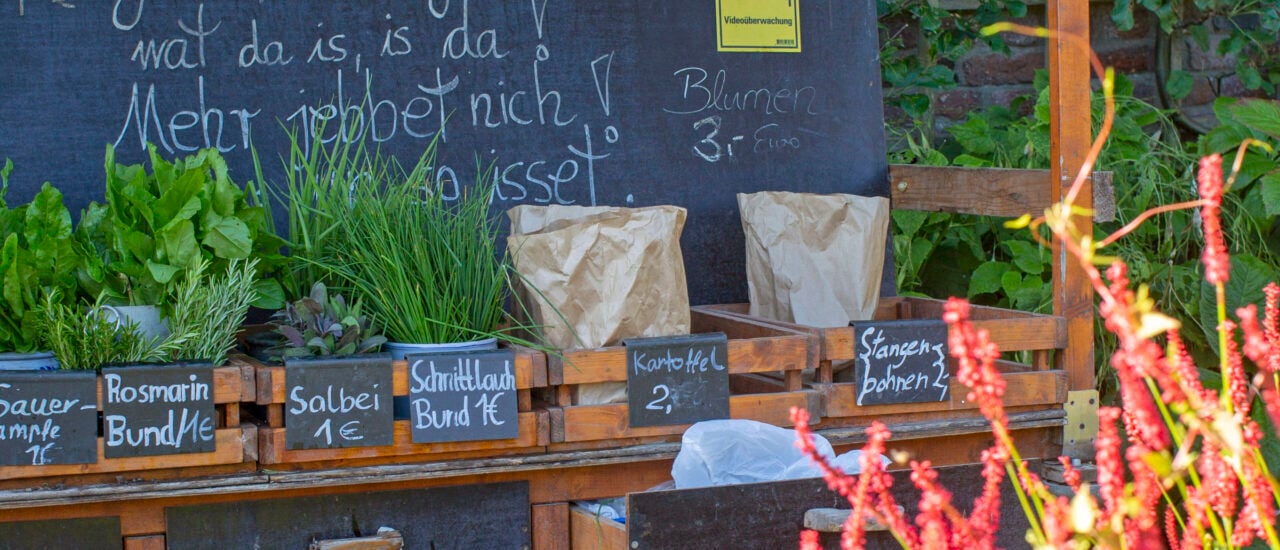 Gemüseverkauf im Küchengarten von Schloss Benrath. Foto: Marion Nickig.