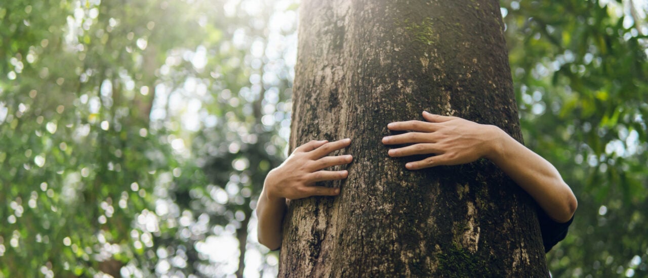 Foto: Felix Geringswald | Shutterstock