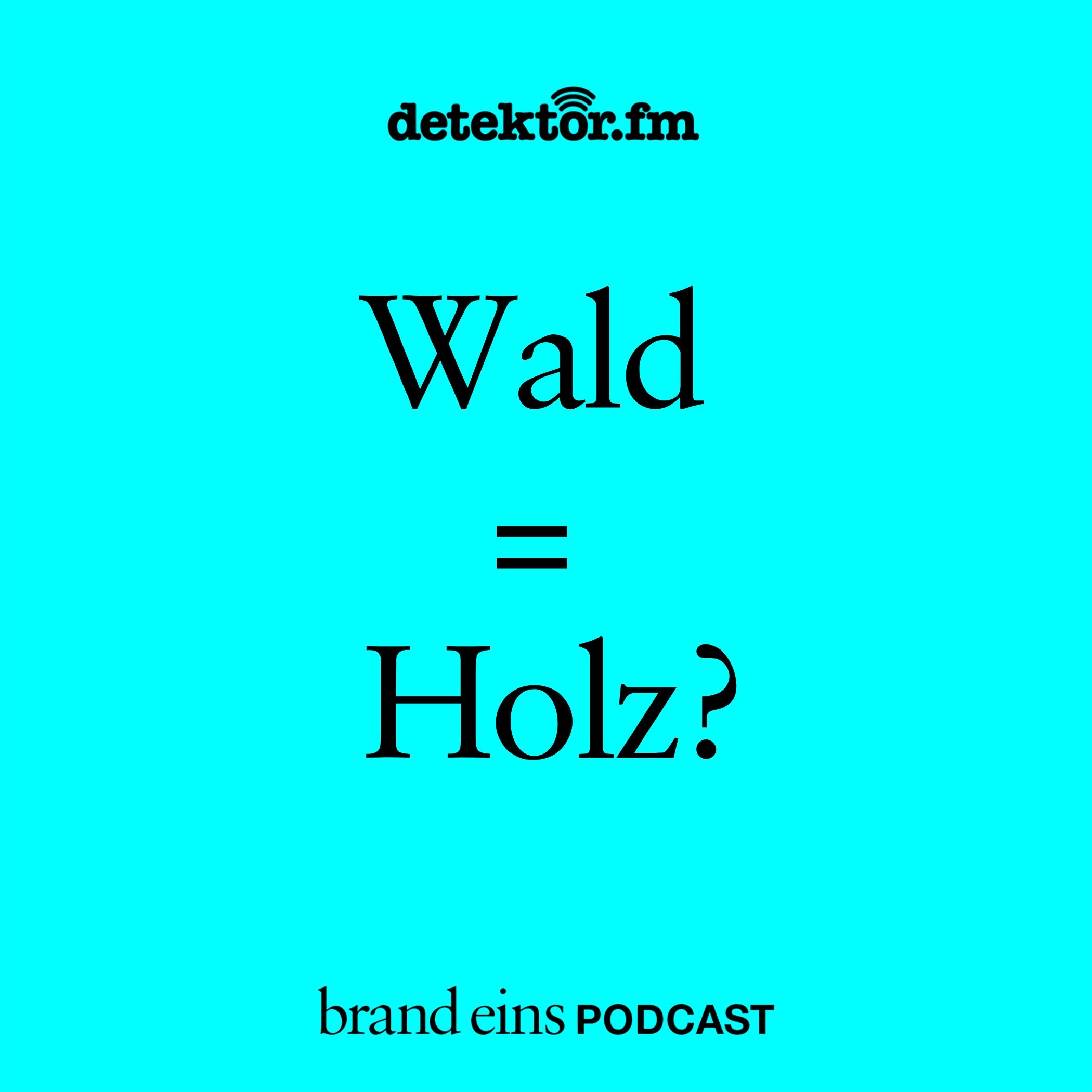 detektor.fm | Podcasts