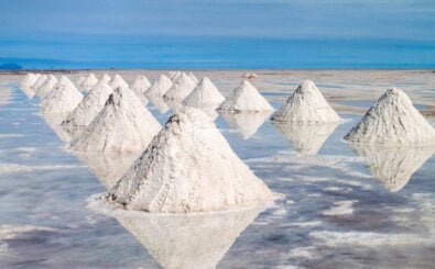 Bild: Arte/Shutterstock