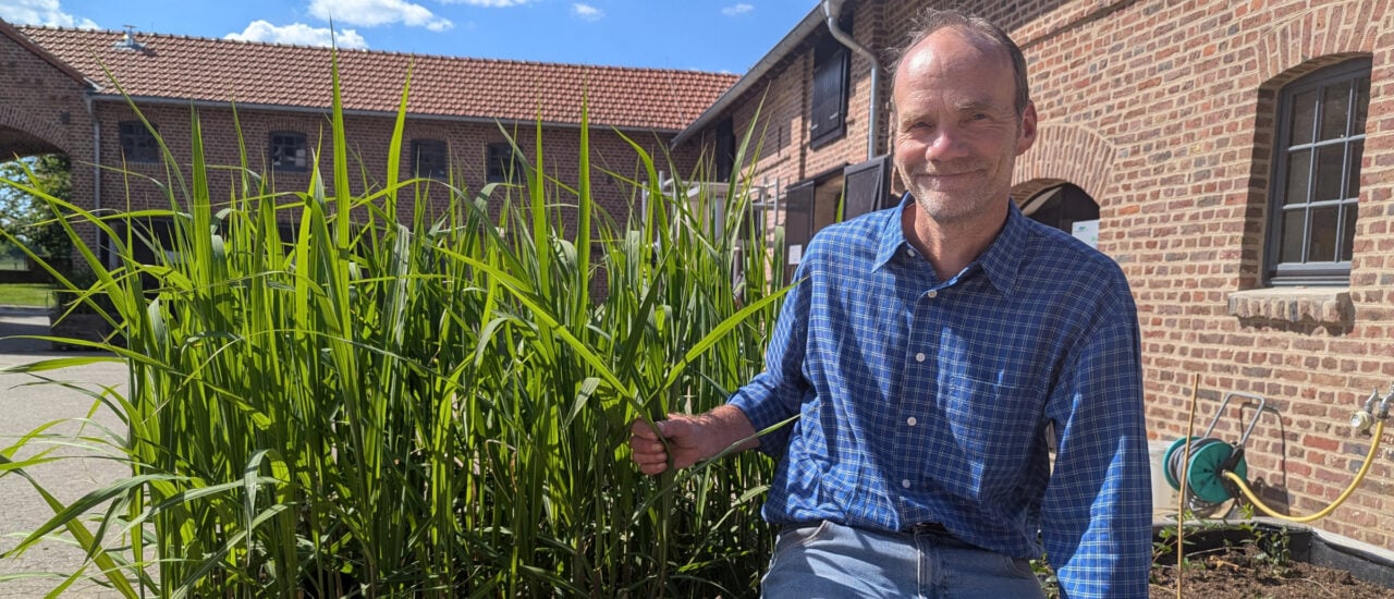 Prof. Ralf Pude neben Miscanthus, dem mehrjährigen Chinaschilf.