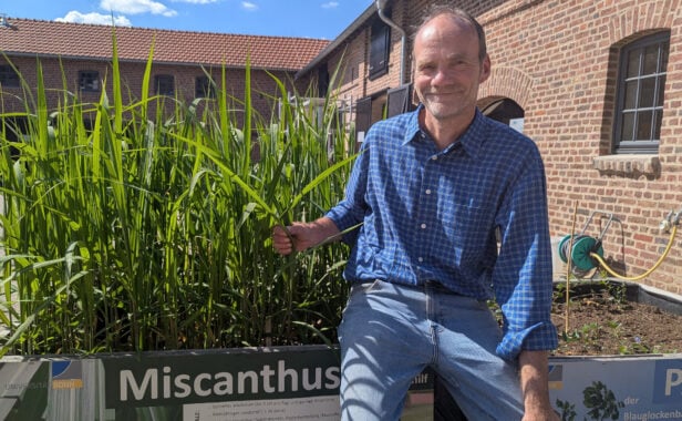 Prof. Ralf Pude neben Miscanthus, dem mehrjährigen Chinaschilf.