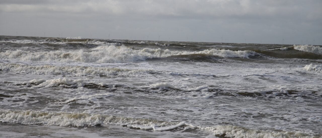 Foto: Andre Mulle / Shutterstock