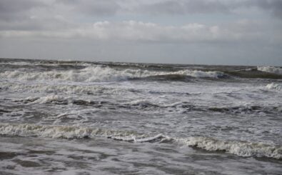 Foto: Andre Mulle / Shutterstock