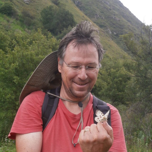 Thomas Schmitt, Professor für Entomologie und Biogeografie an der Universität Potsdam