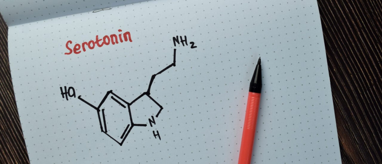 Forschungsquartett | Was kann das „Glückshormon“ Serotonin? Forschungsquartett | Was kann das „Glückshormon“ Serotonin?