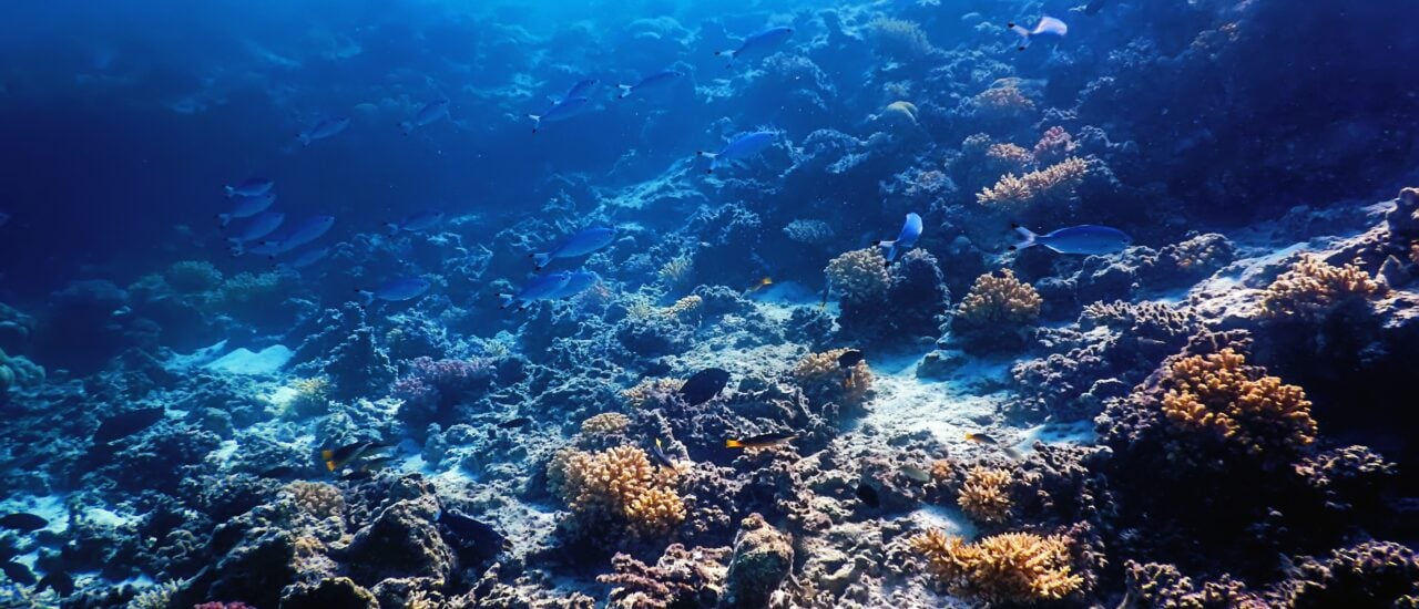 Internationales Seerecht: Wem gehören die Ozeane? Internationales Seerecht: Wem gehören die Ozeane?