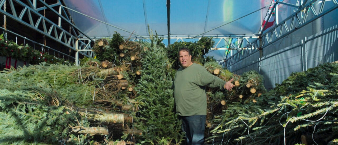 Was läuft heute? | The Merchants Of Joy