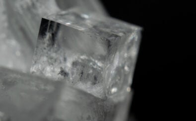 Foto: JMMJ / Shutterstock.com