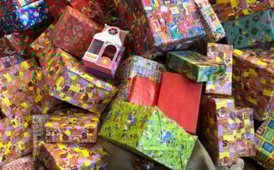 Foto: Shutterstock/Robin Bouwmeester