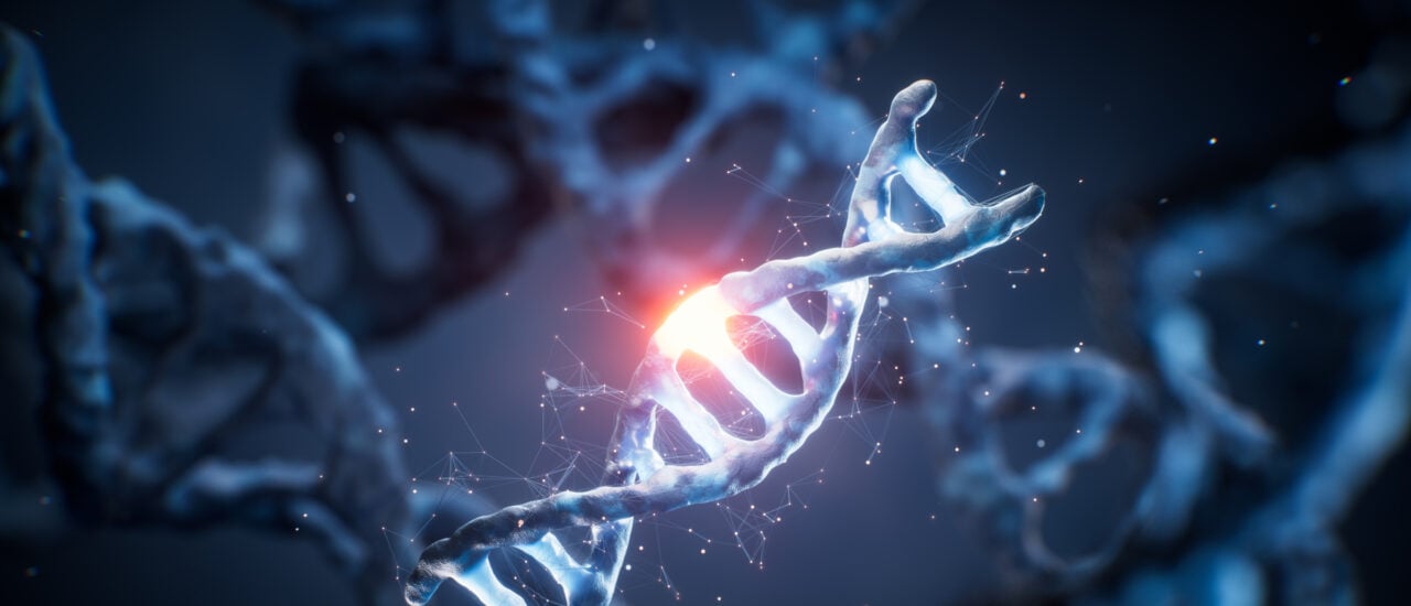 Foto: shutterstock / Vink Fan