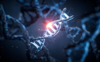 Foto: shutterstock / Vink Fan