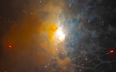 Luis G. Vergara / Shutterstock.com