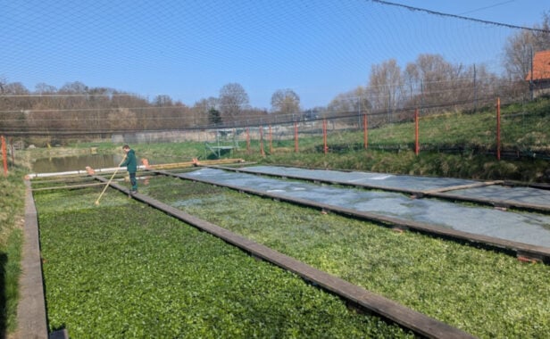 Die Kombinantion von kanalisiertem, fliessendem Quellwasser und Stegen nennt sich Klinge. Foto: Heike Sicconi