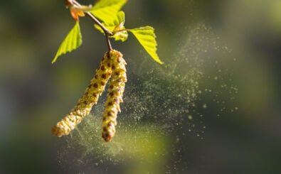 Foto: shutterstock/Igor Klyakhin
