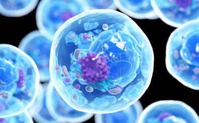 Foto: 3dMediSphere / Shutterstock.com