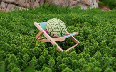 mark gusev / Shutterstock.com
