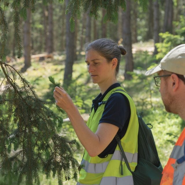 Dr. Solveig Pospiech, Wissenschaftlerin beim europäischen Forschungsprojekt DeepBEAT am HZDR