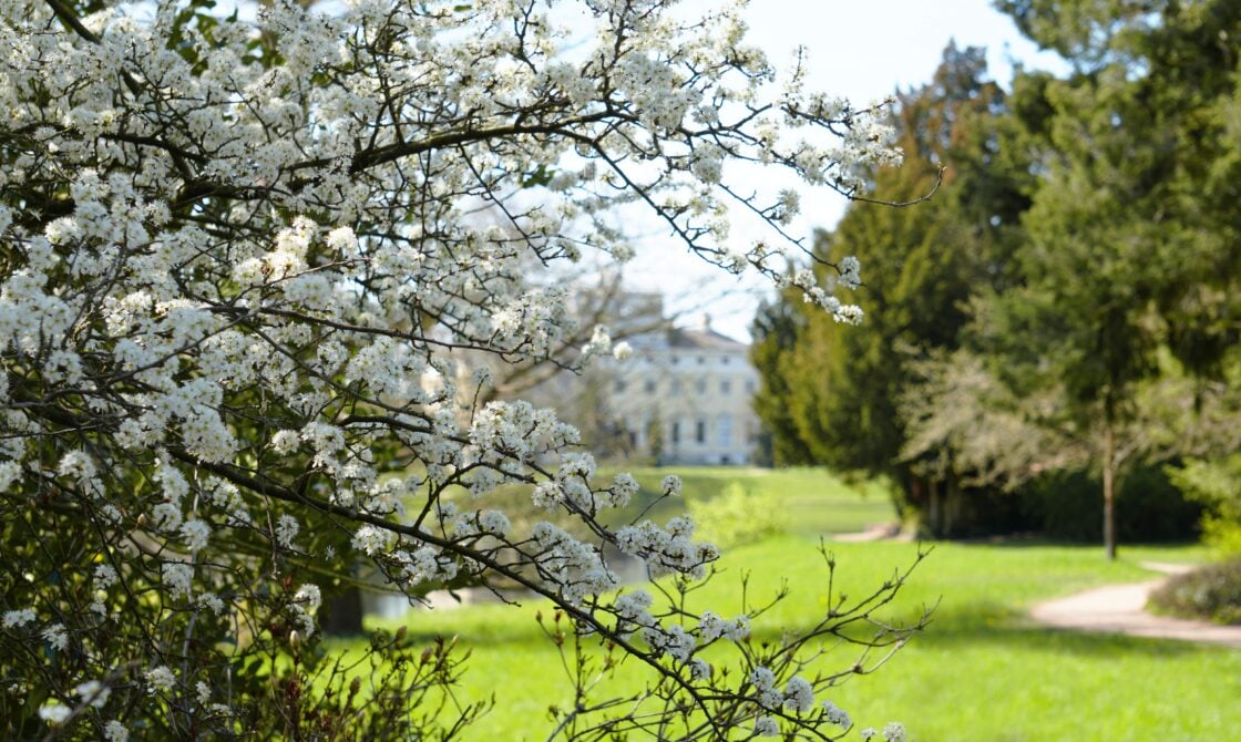 Frühlingshafter Blick in den Wörlitzer Park. Foto: Janin Müller, WEZgGmbH.