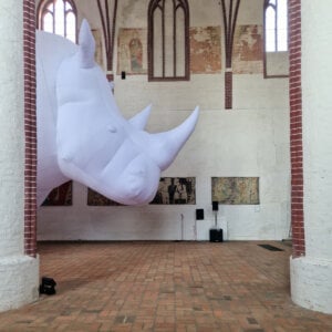 Kopf ein überlebensgroßen Nashorn aus weißem Stoff im Gang der Mönchskirche Salzwedel