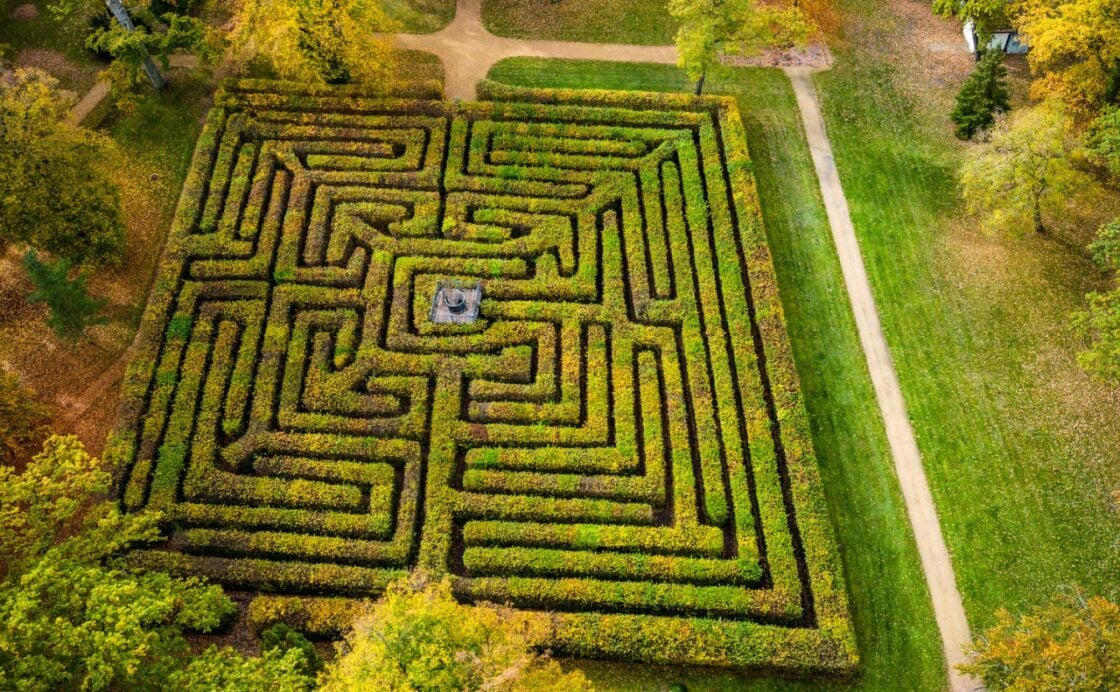 Der Irrgarten im Gutspark Altjeßnitz ist der älteste und größte barocke Irrgarten Deutschlands. Foto: Sven Runkel
