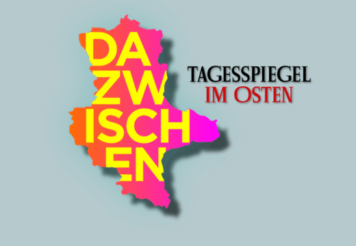 dazwischentagesspiegelheader2400x1000_newsletter